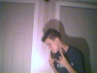 mohawk1.jpg
