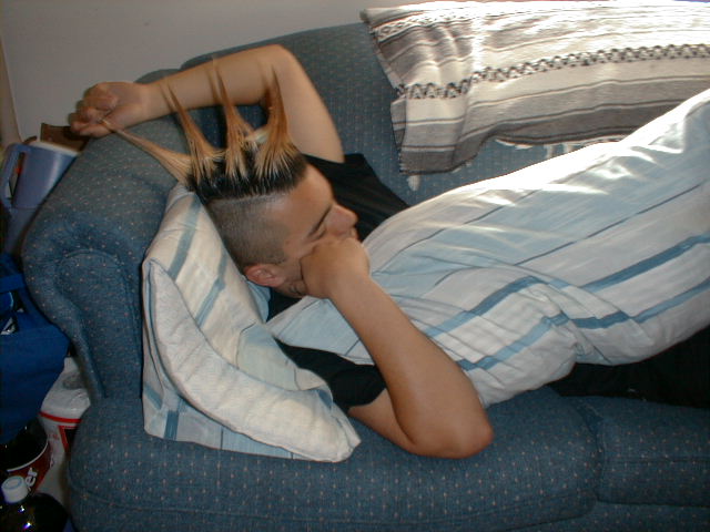 sleepingspikes.jpg
